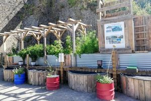 Aquaponia illustration 3